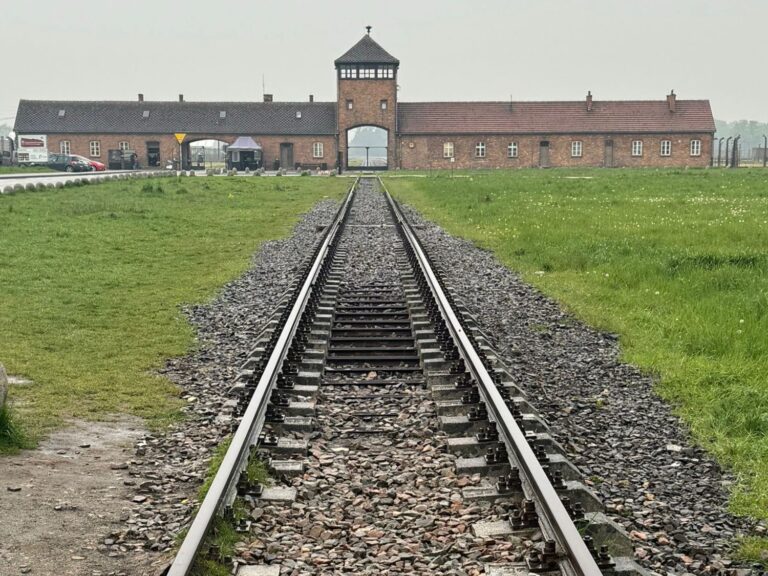 Auschwitz un grido che arriva fino al presente_binario